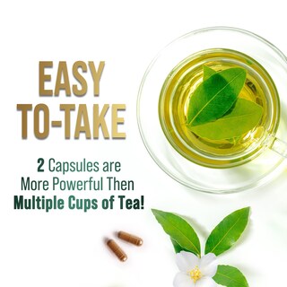 Foto 6 | Foto 6 | Píldoras De Extracto De Té Verde Silveronyx 1000 Mg Con Egcg 240 Cápsulas - Venta Internacional.