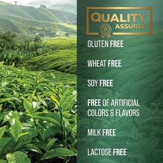 Foto 7 | Foto 7 | Píldoras De Extracto De Té Verde Silveronyx 1000 Mg Con Egcg 240 Cápsulas - Venta Internacional.