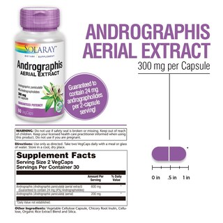 Foto 3 | Foto 3 | Suplemento De Extracto Aéreo Solaray Andrographis 600 Mg - Venta Internacional.