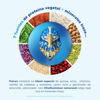 Foto 3 | Foto 3 | Falcon Proteína Vegetal Orgánica Vainilla 1.8 Kg Birdman
