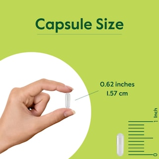 Foto 5 | Foto 5 | Suplemento Bestvite Coleus Forskohlii 125 Mg Con Un 20% De Forskolina - Venta Internacional.