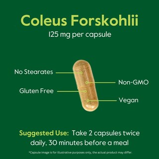Foto 6 | Foto 6 | Suplemento Bestvite Coleus Forskohlii 125 Mg Con Un 20% De Forskolina - Venta Internacional.
