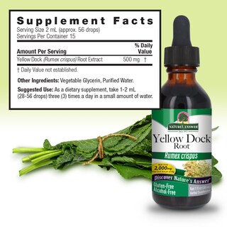 Foto 3 | Foto 3 | Suplemento De Raíz De Dique Amarillo De Nature's Answer, 60 Ml, 2000 Mg - Venta Internacional.