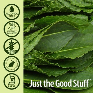 Foto 4 | Foto 4 | Suplemento De Raíz De Dique Amarillo De Nature's Answer, 60 Ml, 2000 Mg - Venta Internacional.