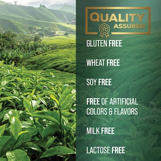 Foto 7 | Foto 7 | Suplemento De Extracto De Té Verde Silveronyx 1000 Mg 120 Cápsulas - Venta Internacional.