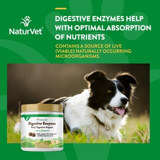 Foto 4 | Foto 4 | Enzimas Digestivas Más Probióticos Y Prebióticos Para Perros Y Gatos - Venta Internacional.