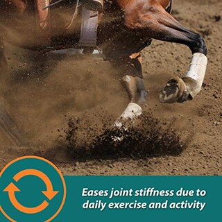 Foto 4 | Foto 4 | Suplemento Farnam Next Level Horse Joint, 32 Onzas, Para Caballos Y D. - Venta Internacional.