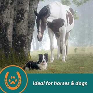 Foto 7 | Foto 7 | Suplemento Farnam Next Level Horse Joint, 32 Onzas, Para Caballos Y D. - Venta Internacional.