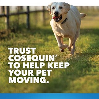 Foto 3 | Foto 3 | Suplemento Para La Salud De Las Articulaciones Nutramax Cosequin Para Perros 2x264 Tab - Venta Internacional.