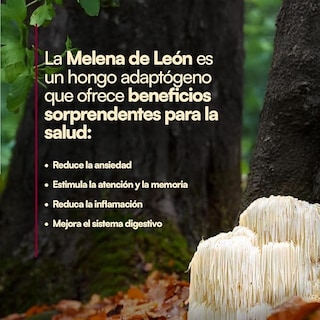 Foto 5 | Foto 5 | Proteína Vegetal Con Adaptogeno Humánimo En Polvo
