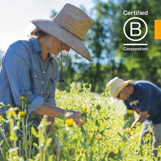 Foto 7 | Foto 7 | Suplemento De Extracto De Raíz De Rhodiola De Herb Pharm 30 Ml - Venta Internacional.