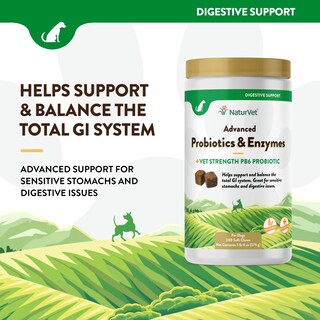 Foto 3 | Foto 3 | Suplemento Naturvet Advanced Probióticos Y Enzimas 240 Comprimidos - Venta Internacional.