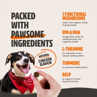 Foto 4 | Foto 4 | Suplemento Freshcap Shroomies Para Perros Con Hongos De Cola De Pavo - Venta Internacional.