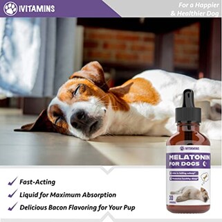 Foto 6 | Foto 6 | Melatonina Para Perros Ivitamins Sleep Aid Support 30 Ml - Venta Internacional.