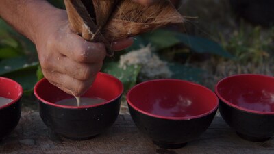 Foto 4 | Foto 4 | Té De Kava Ceremonial En Polvo Sebotanicals Vanuatu Sangava 250 Ml - Venta Internacional.