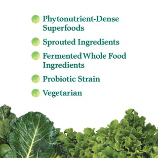 Foto 2 | Foto 2 | Suplemento Garden Of Life Perfect Food Super Green Para 14 Porciones - Venta Internacional.