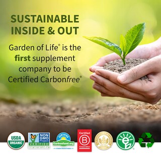 Foto 6 | Foto 6 | Suplemento Garden Of Life Perfect Food Super Green Para 14 Porciones - Venta Internacional.