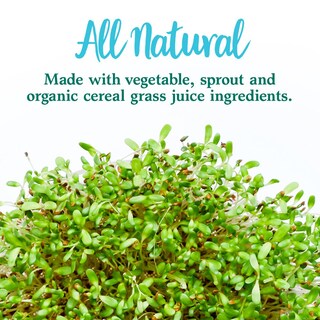 Foto 7 | Foto 7 | Suplemento Garden Of Life Perfect Food Super Green Para 14 Porciones - Venta Internacional.