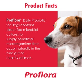 Foto 5 | Foto 5 | Probióticos Para Perros Proflora Complete Gut Health 60 Chews - Venta Internacional.