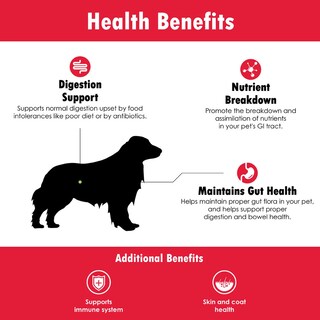 Foto 6 | Foto 6 | Probióticos Para Perros Proflora Complete Gut Health 60 Chews - Venta Internacional.