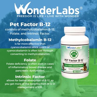 Foto 5 | Foto 5 | Suplemento Wonder Laboratories Pet Factor B-12 180 Cápsulas - Venta Internacional.