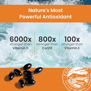 Foto 4 | Foto 4 | Suplemento Nutrex Hawaii Vegan Bioastin De Astaxantina Hawaiana, 4 Mg - Venta Internacional.