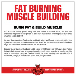 Foto 4 | Foto 4 | Suplemento De Proteína De Carne Picada Carnivor De Musclemeds, 4 Libras, Vainilla - Venta Internacional.