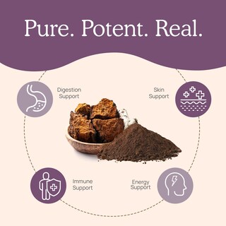 Foto 4 | Foto 4 | Suplemento De Hongos En Polvo De Chaga Con Hongos Reales, 150 Porciones - Venta Internacional.