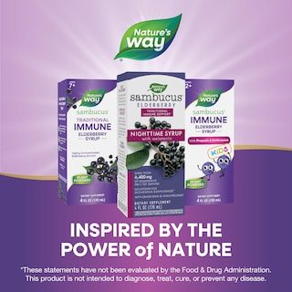 Foto 6 | Foto 6 | Sirope Nature's Way Sambucus Nighttime Saúco Con Melatonina 120 Ml - Venta Internacional.