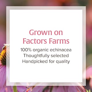 Foto 5 | Foto 5 | Suplemento Natural Factors Anti-v Liquid Echinacea 100 Ml - Venta Internacional.