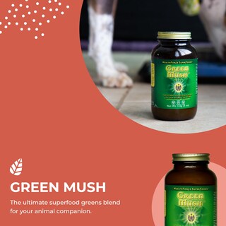 Foto 4 | Foto 4 | Suplemento Healthforce Superfoods Green Push 300 Ml - Venta Internacional.