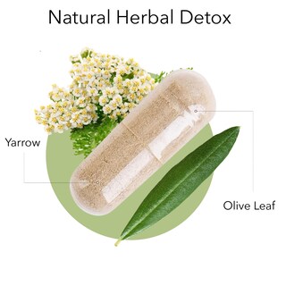 Foto 2 | Foto 2 | Suplemento De Extracto De Hoja De Olivo De Kroeger Herbs 100 Cápsulas - Venta Internacional.