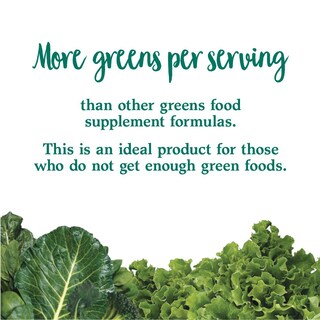 Foto 6 | Foto 6 | Suplemento Garden Of Life Perfect Food Green 600 G - Venta Internacional.