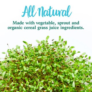 Foto 7 | Foto 7 | Suplemento Garden Of Life Perfect Food Green 600 G - Venta Internacional.