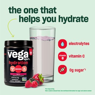 Foto 6 | Foto 6 | Electrolito Hidratante En Polvo Vega Sport Lemonade 145 Ml - Venta Internacional.