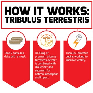 Foto 5 | Foto 5 | Suplemento Force Factor Tribulus Terrestris 1000 Mg 60 Cápsulas - Venta Internacional.
