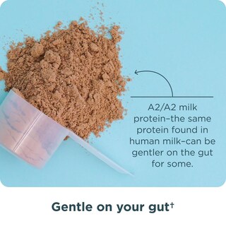 Foto 4 | Foto 4 | Crema De Cacahuete Con Chocolate Whey Protein Ancient Nutrition, 18 Porciones - Venta Internacional.
