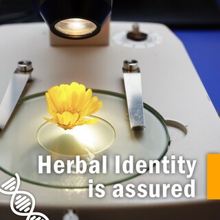 Foto 5 | Foto 5 | Extracto Líquido Herb Pharm Mezcla De Ortiga 30 Ml - Venta Internacional.