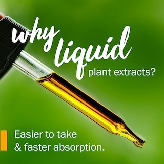 Foto 3 | Foto 3 | Extracto Líquido De Lavanda Orgánica Certificada Por Herb Pharm  30 Ml - Venta Internacional.