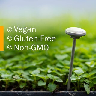 Foto 6 | Foto 6 | Digestive Bitters Herb Pharm Better Bitters Classic 30 Ml - Venta Internacional.