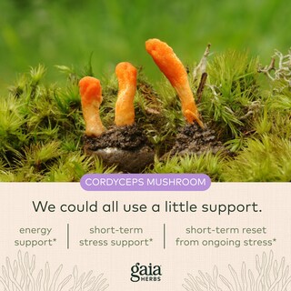 Foto 5 | Foto 5 | Suplemento Gaia Herbs Jump Start 60 Cápsulas Veganas - Venta Internacional