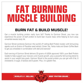 Foto 4 | Foto 4 | Suplemento Musclemeds Carnivor Shred Beef Protein 907 G De Vainilla - Venta Internacional.