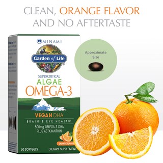 Foto 3 | Foto 3 | Suplemento Garden Of Life Minami Algae Omega 3 DHA 500 mg 60 Softgel - Venta Internacional