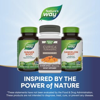 Foto 6 | Foto 6 | Suplemento Alimenticio Nature's Way Cúrcuma 60 Cápsulas - Venta Internacional