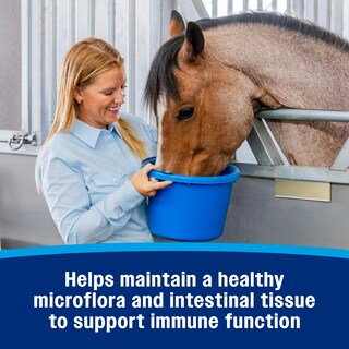 Foto 5 | Foto 5 | Suplemento Farnam Hindgut Estabilizer Pellets Para Caballos - Venta Internacional.