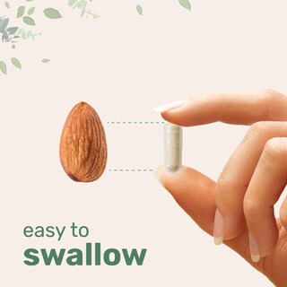 Foto 6 | Foto 6 | Suplemento Con Microingredientes: Cáscara De Psyllium  3000 Mg  500 Cápsulas - Venta Internacional.