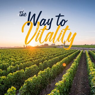 Foto 6 | Foto 6 | Probiotics Vitalitown 200 Mil Millones De Ufc 30 Cepas 60 Comprimidos - Venta Internacional.