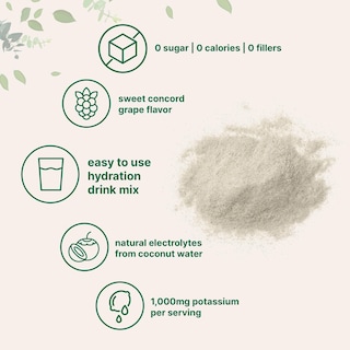 Foto 3 | Foto 3 | Microingredientes Electrolíticos En Polvo Para Hidratación 2 Kg Uva Concord - Venta Internacional.