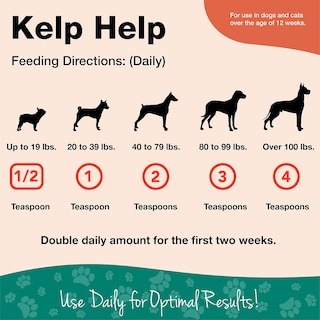 Foto 4 | Foto 4 | Suplemento Naturvet Kelp Help Plus Omegas Para Perros Y Gatos - Venta Internacional.