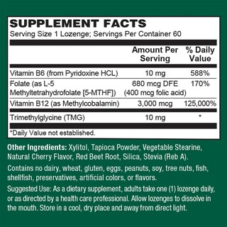 Foto 2 | Foto 2 | Suplemento Plantfusion Complejo De Vitamina B Metilada 60 Unidades - Venta Internacional.